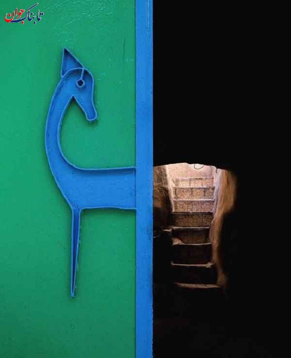 تصویری خاص که عکاس ایرانی ثبت کرد