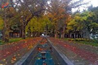 ملایر در کدام استان است و جاهای دیدنی آن کجاست؟