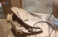 ماجرای شکستن کوزه ۳۵۰۰ ساله موزه توسط یک کودک