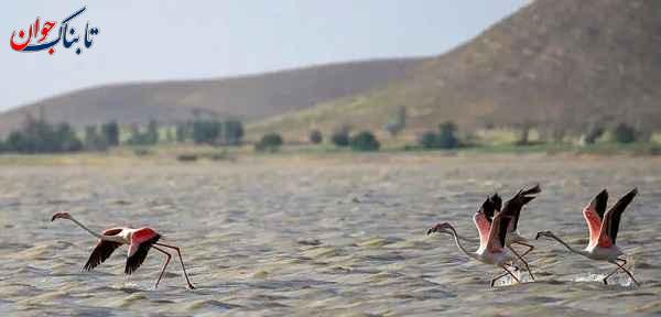 ملایر در کدام استان است و جاهای دیدنی آن کجاست؟