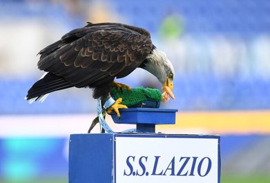 عقاب لاتزیو پیش از شروع دیدار برابر اودینزه در سری آ ایتالیا
