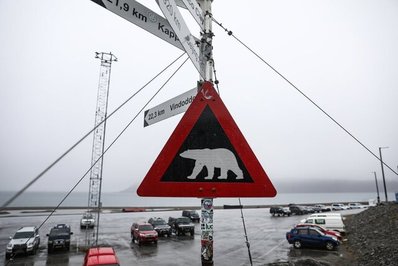 تصویری از تابلو هشدار نصب‌شده در نزدیکی کمپی که یک مرد در آن بر اثر حمله خرس قطبی کشته شد / نروژ
