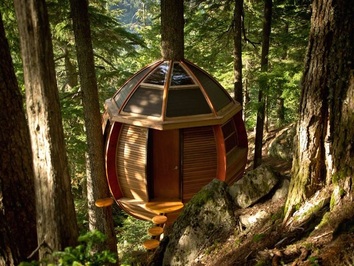 جوئل آلن، توسعه دهنده ی نرم افزار، وقتی ۲۶ سال داشت، خانه ای درختی به سبک خودش در شهر ویسلر ِ کانادا ساخت. طراحی او شسته و رفته تر از خانه های درختی معمولی است.
ظاهر این خانه ی درختی هم با محیط اطرافش کاملاً جور است.